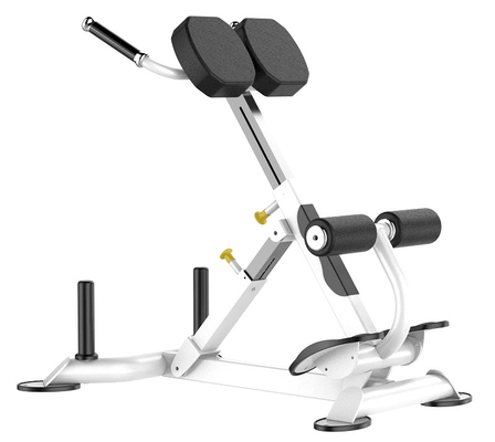 Máquina de Rohs Roman Chair Back Extension Exercise para el gimnasio