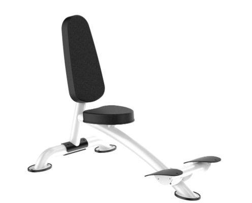 Máquina de Rohs Roman Chair Back Extension Exercise para el gimnasio