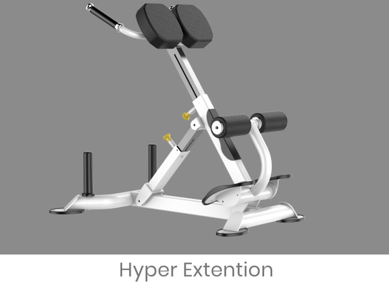 Máquina de Rohs Roman Chair Back Extension Exercise para el gimnasio