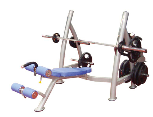 Banco de peso de encargo del gimnasio de Logo Exercise Muscle Metal Decline