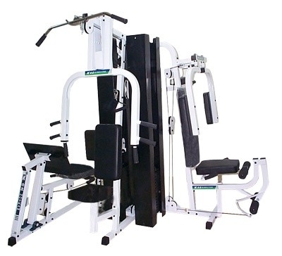 Grupo multifuncional comercial del equipo 50kgs/2 del gimnasio de Borgoña