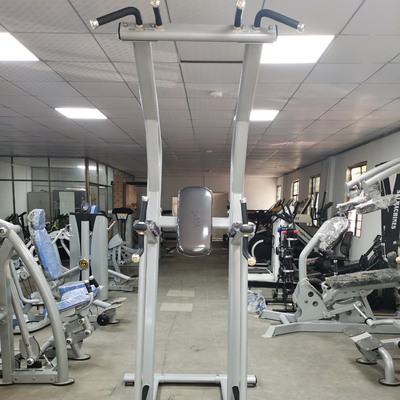 ODM del OEM de la máquina de Chin Up Bar Body Fit de la aptitud del levantamiento de pesas