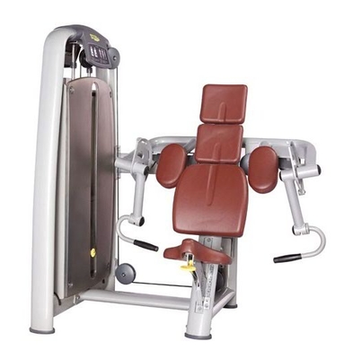 Máquina del rizo del bíceps del equipo del gimnasio de la aptitud del ODM del OEM con cuero sintético