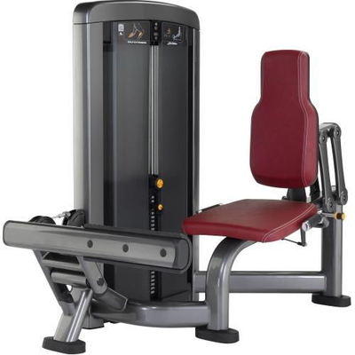 Máquina asentada tubo oval del aumento del becerro del culturismo del gimnasio